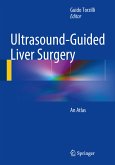 Ultrasound-Guided Liver Surgery (eBook, PDF)