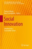 Social Innovation (eBook, PDF)