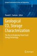 Geological CO2 Storage Characterization... - Bild 1