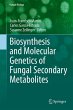 Biosynthesis and Molecular Genetics of... - Bild 1