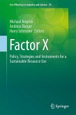 Factor X (eBook, PDF)