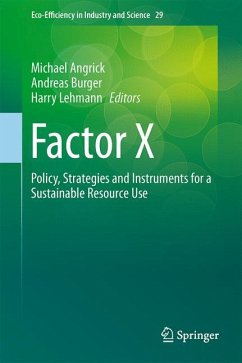 Factor X (eBook, PDF)