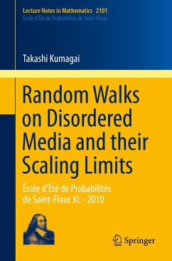 Random Walks on Disordered Media and their Scaling Limits (eBook, PDF) - Kumagai, Takashi