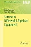 Surveys in Differential-Algebraic Equations II (eBook, PDF)