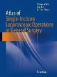 Atlas of Single-Incision Laparoscopic... - Bild 1