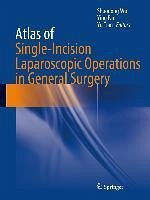 Atlas of Single-Incision Laparoscopic Operations in General Surgery (eBook, PDF)