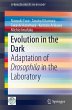 Evolution in the Dark (eBook, PDF) - Bild 1