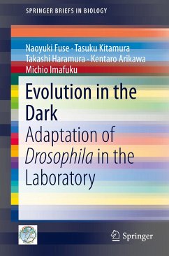 Evolution in the Dark (eBook, PDF) - Fuse, Naoyuki; Kitamura, Tasuku; Haramura, Takashi; Arikawa, Kentaro; Imafuku, Michio