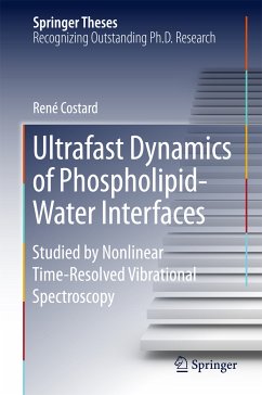 Ultrafast Dynamics of Phospholipid-Water Interfaces (eBook, PDF) - Costard, René