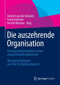 Die auszehrende Organisation (eBook, PDF)