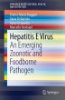 Hepatitis E Virus (eBook, PDF) - Bild 1