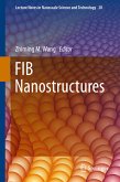 FIB Nanostructures (eBook, PDF)