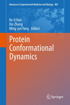 Protein Conformational Dynamics (eBook, PDF)