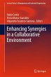 Enhancing Synergies in a Collaborative... - Bild 1