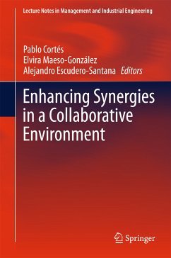 Enhancing Synergies in a Collaborative Environment (eBook, PDF)