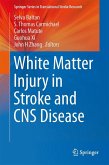 White Matter Injury in Stroke and CNS Disease (eBook, PDF)
