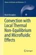 Convection with Local Thermal... - Bild 1