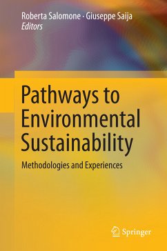 Pathways to Environmental Sustainability (eBook, PDF)