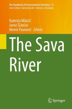 The Sava River (eBook, PDF)