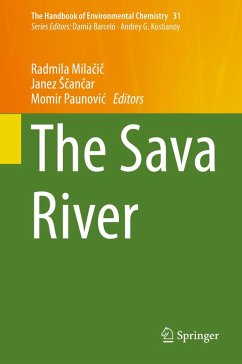 Cover The Sava River (eBook, PDF)