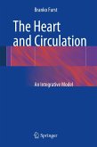 The Heart and Circulation (eBook, PDF)
