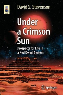 Under a Crimson Sun (eBook, PDF) - Stevenson, David S.