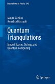 Quantum Triangulations (eBook, PDF)