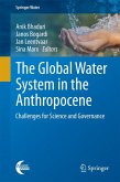 The Global Water System in the Anthropocene (eBook, PDF)