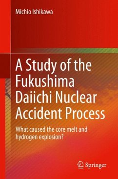 A Study of the Fukushima Daiichi Nuclear Accident Process (eBook, PDF) - Ishikawa, Michio