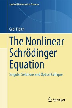 The Nonlinear Schrödinger Equation (eBook, PDF) - Fibich, Gadi