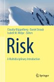 Risk - A Multidisciplinary Introduction (eBook, PDF)