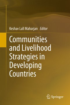 Communities and Livelihood Strategies in Developing Countries (eBook, PDF)