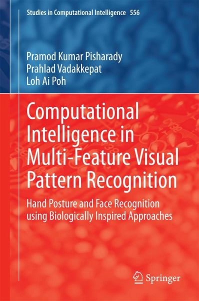 Computational Intelligence in Multi-Feature Visual Pattern Recognition (eBook, PDF)