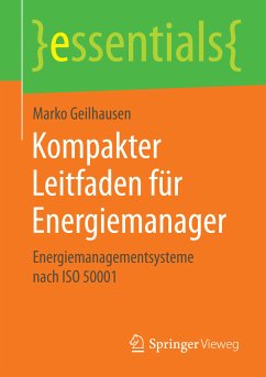 Kompakter Leitfaden für Energiemanager (eBook, PDF) - Geilhausen, Marko