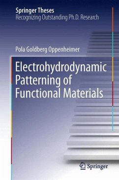 Electrohydrodynamic Patterning of Functional Materials (eBook, PDF) - Oppenheimer, Pola Goldberg