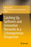 Catching Up, Spillovers and Innovation Networks in a Schumpeterian Perspective (eBook, PDF)
