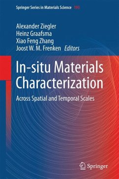 In-situ Materials Characterization (eBook, PDF)