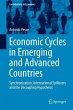 Economic Cycles in Emerging and... - Bild 1