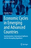 Economic Cycles in Emerging and Advanced Countries (eBook, PDF)