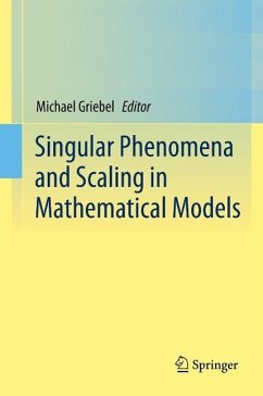 Singular Phenomena and Scaling in Mathematical Models (eBook, PDF)