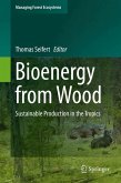 Bioenergy from Wood (eBook, PDF)