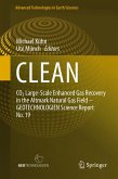 CLEAN (eBook, PDF)