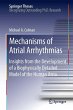 Mechanisms of Atrial Arrhythmias... - Bild 1