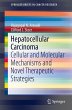 Hepatocellular Carcinoma (eBook, PDF) - Bild 1