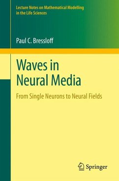 Waves in Neural Media (eBook, PDF) - Bressloff, Paul C.