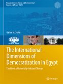 The International Dimensions of Democratization in Egypt (eBook, PDF)