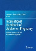 International Handbook of Adolescent Pregnancy (eBook, PDF)