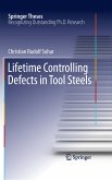 Lifetime Controlling Defects in Tool Steels (eBook, PDF)