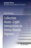 Collective Atom–Light Interactions in Dense Atomic Vapours (eBook, PDF)