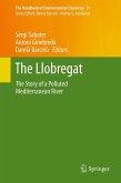 The Llobregat (eBook, PDF)